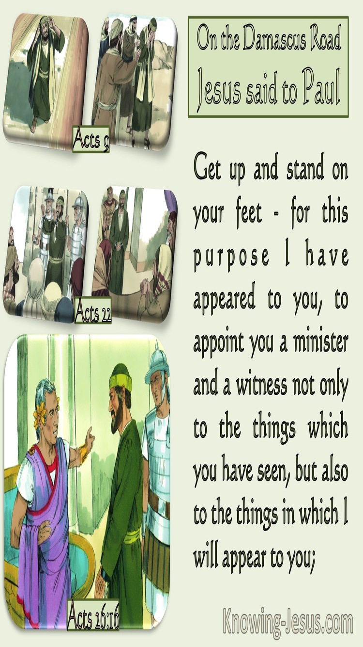 Acts 26:16 For This Purpose I Appointed You A Minister And Witness (green) 